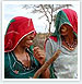 North India Cultural Tour
