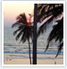 South India Extensive